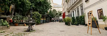 Vieille rue résidentielle au printemps